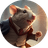 RAT