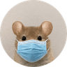 ratwifmask