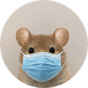 ratwifmask