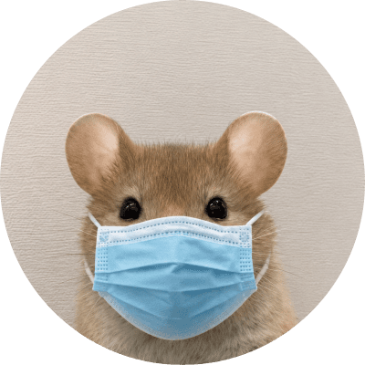 ratwifmask logo