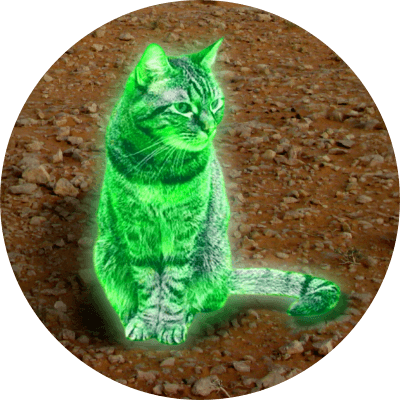 Ray Cat logo