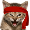 Red Kitten Crew
