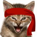 Red Kitten Crew