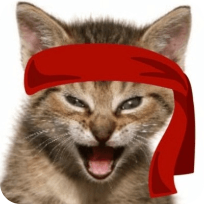 Red Kitten Crew logo