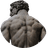 alpha