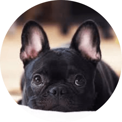 Remus Gargoyle logo
