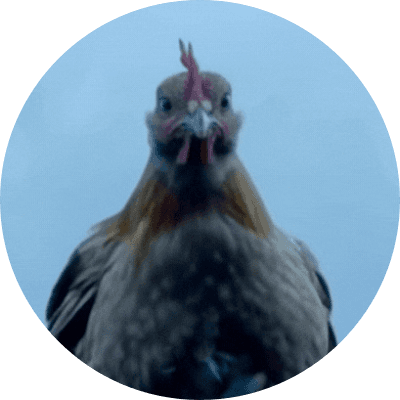 Retarded Chicken logo