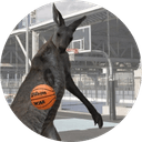 Retarded Kangaroo Shooting Hoops