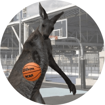 Retarded Kangaroo Shooting Hoops logo