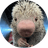 RICO