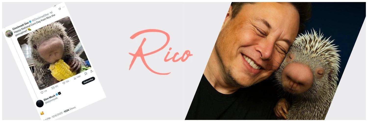 Rico banner