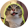 Rigby the Cat