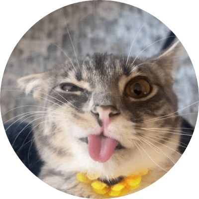 Rigby The Cat logo