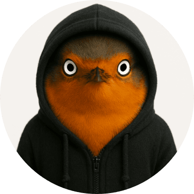 robinwifhood logo