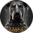ROBODG