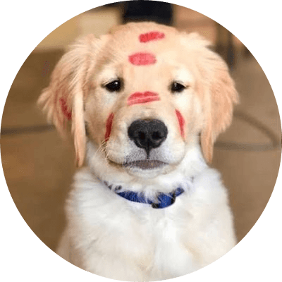 Romeo logo