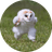 Ehhh