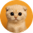 SACHI