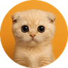 Sachicoin
