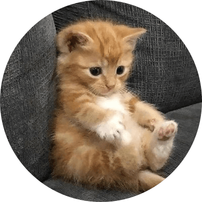 sadbutcute logo