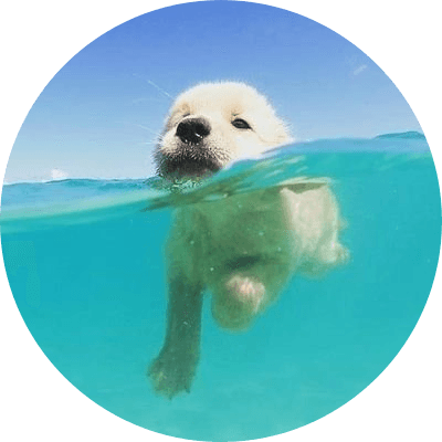 Salty logo