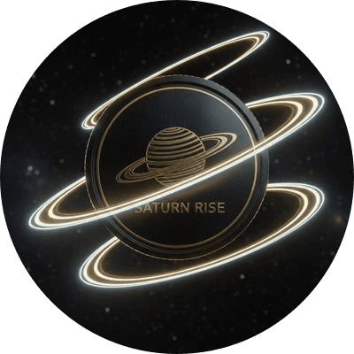 SATURN RISE logo