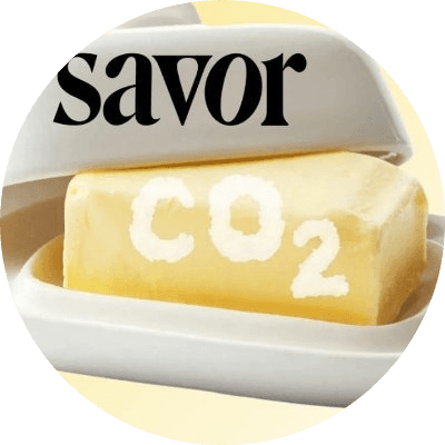 SAVOR logo