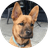 SCOOBY