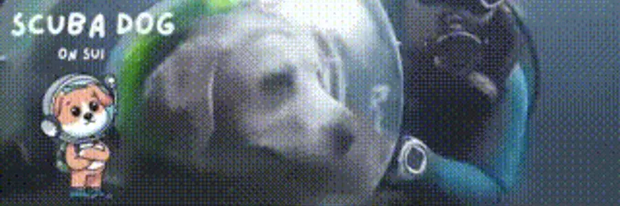 SCUBA DOG banner