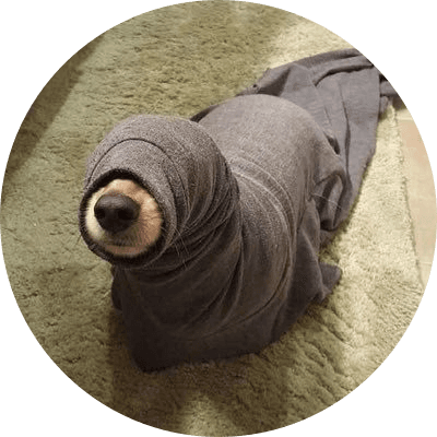 Seal Dog logo