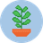 SEED