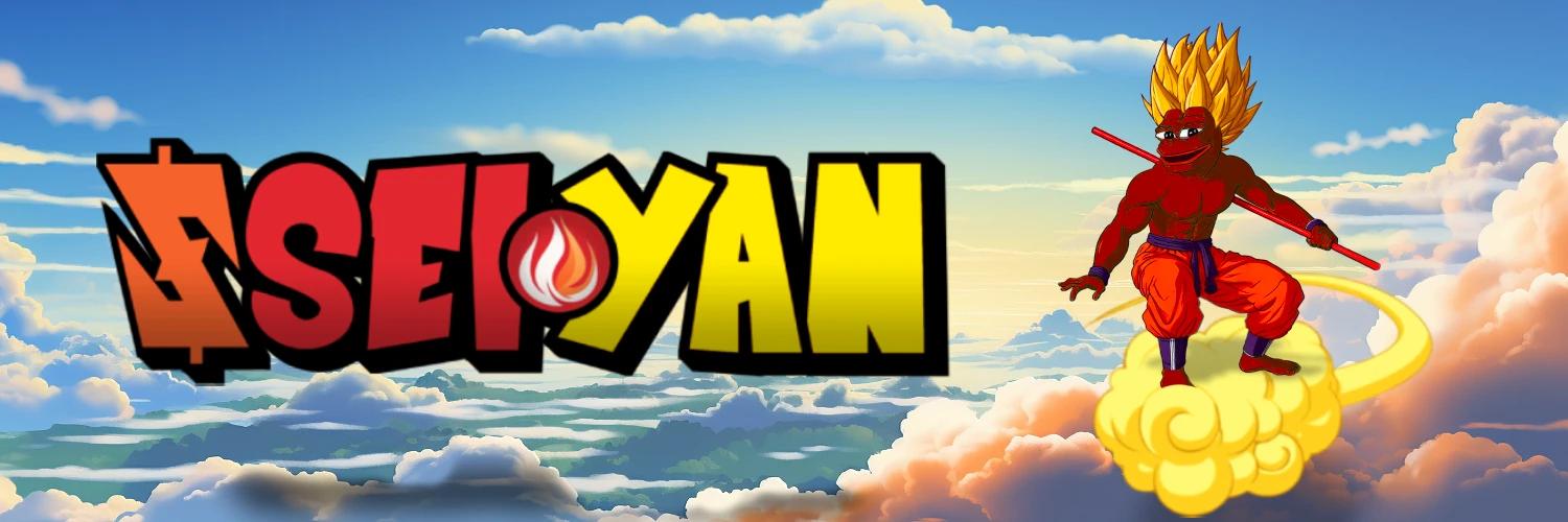 SEIYAN banner
