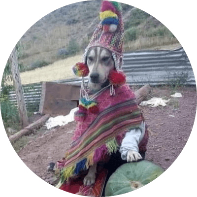SHAMAN DOG logo