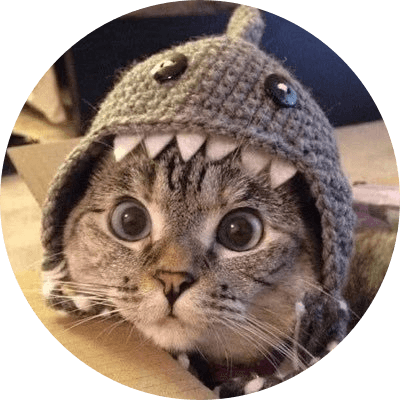 Shark Cat logo