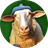 SWIF