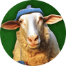 Sheep Wif Hat