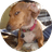 CHICO