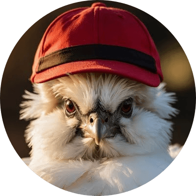SILKWIFHAT logo