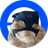 SKIC