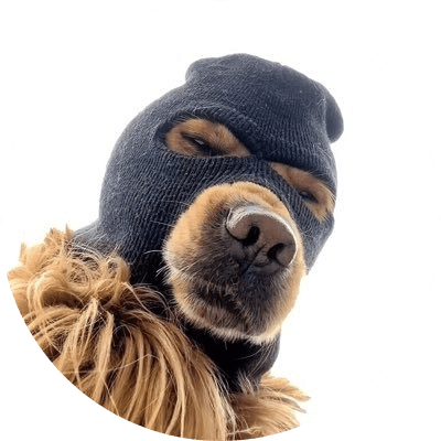 SKI MASK DOG logo