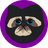 Skiggles