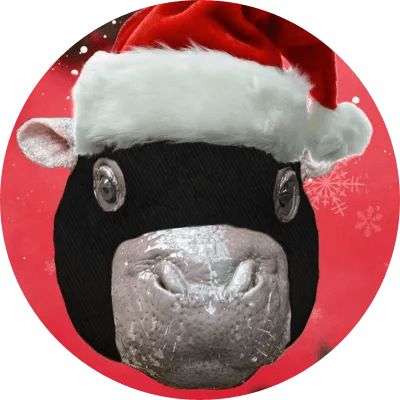 Ski Mask Moo Deng logo