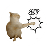 Slap Cat