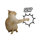 Slap Cat