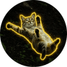 Sliding Cat