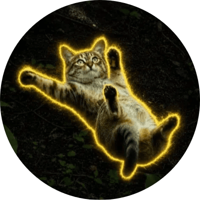 Sliding Cat logo