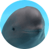 smiling dolphin