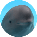 smiling dolphin