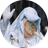 SCF