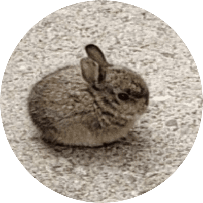 smol bun logo